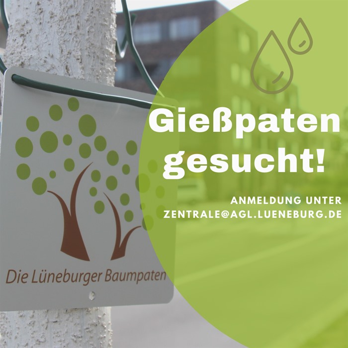 Baum mit Schild: Lüneburger Baumpaten