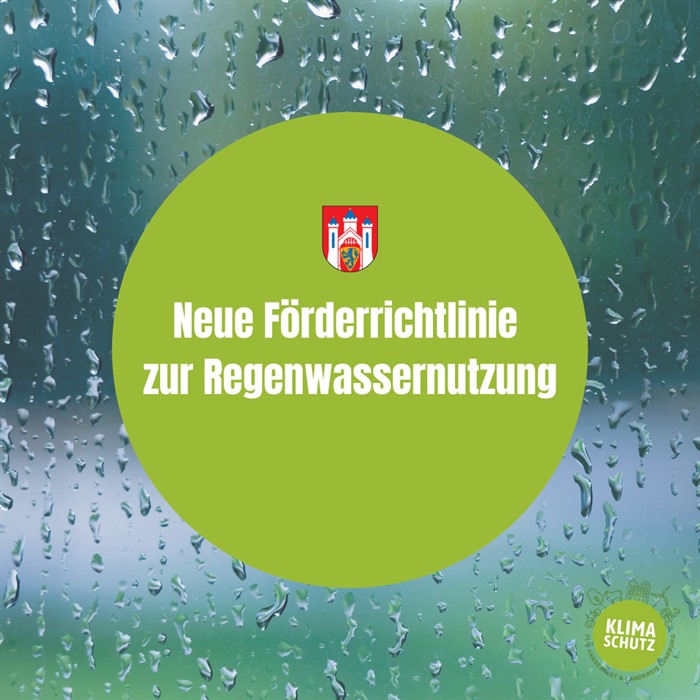 Regen an einer Scheibe