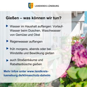 Wie können wir beim Gießen Wasser sparen?